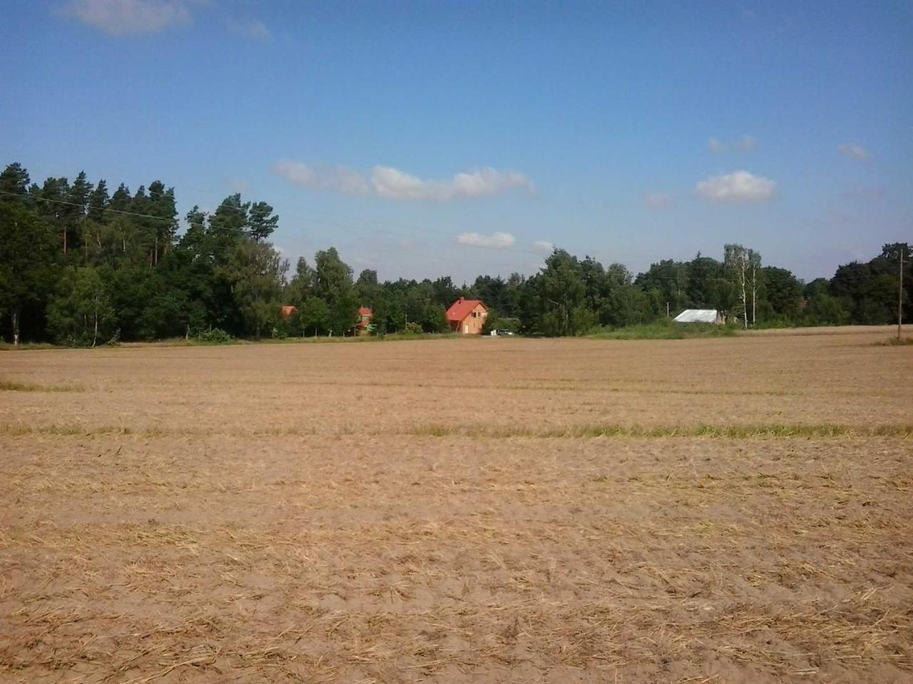 Holzmichel _ Pinocchio Lärz Exterior photo